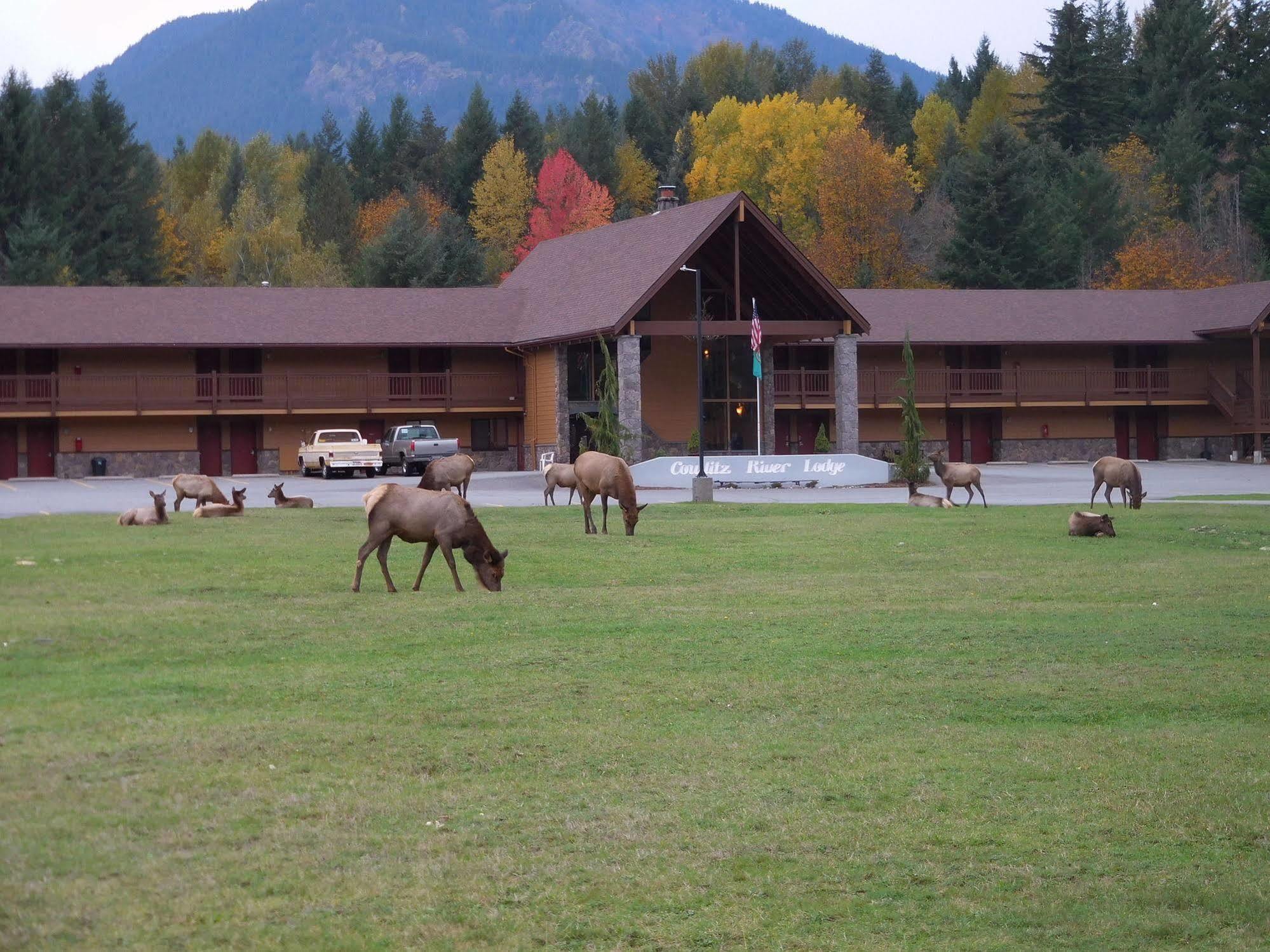 Cowlitz River Lodge Packwood Exterior foto