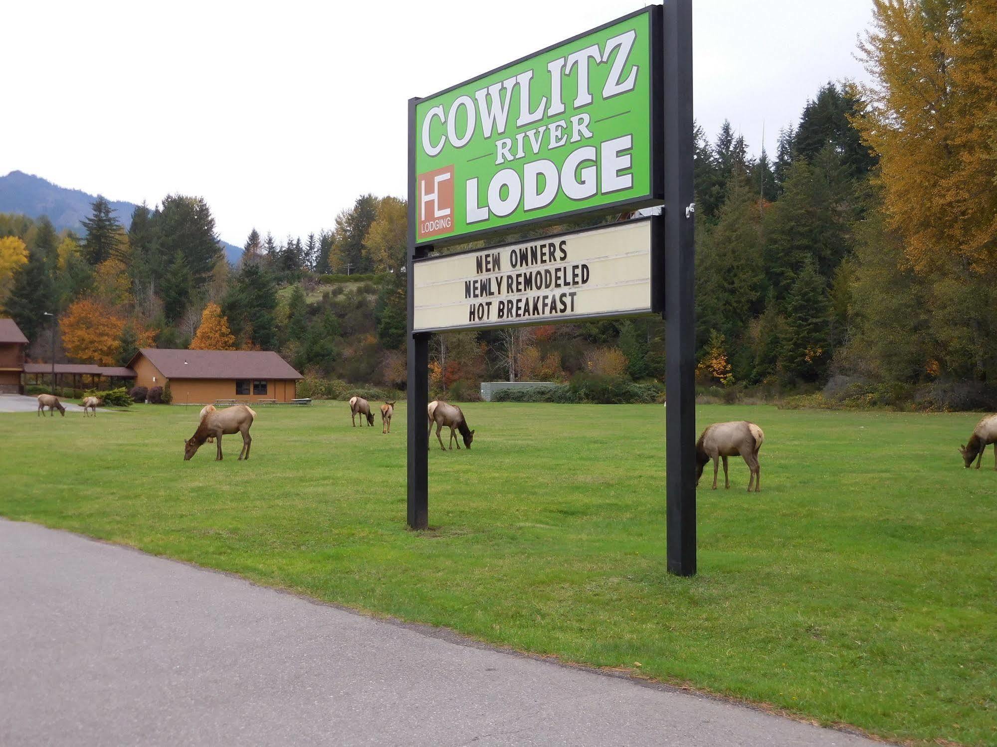Cowlitz River Lodge Packwood Exterior foto